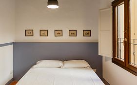 Big Apartment Near Piazza Santo Spirito